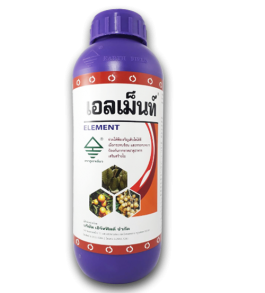 เอลเม็นท์