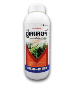 ฮู้ตเตอร์