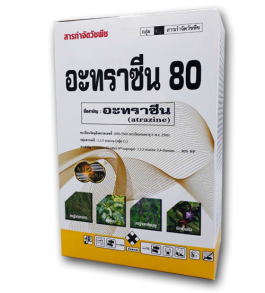 อะทราซีน80.