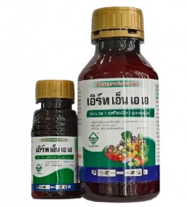 เอิร์ท เอ็น เอ เอ