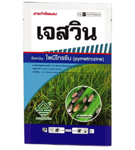 เจสวิน