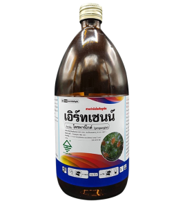 เอิร์ทเชนน์