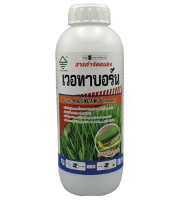 เวอทาบอร์น