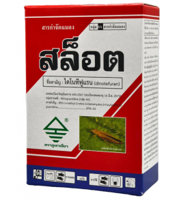 สล็อต
