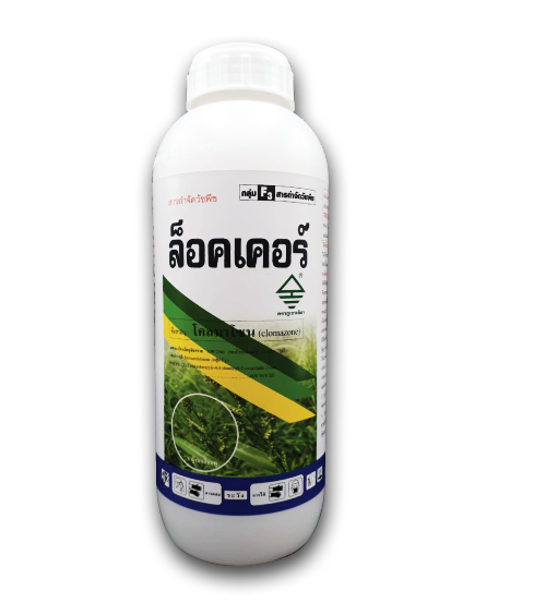 ล็อคเคอร์.
