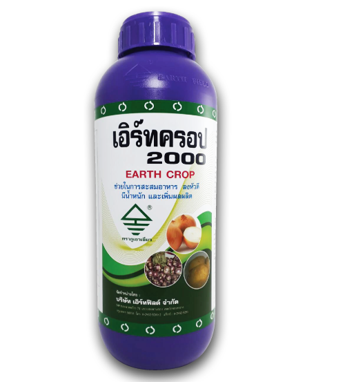 เอิร์ทครอป 2000