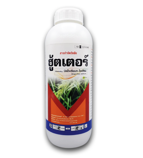 ฮู้ตเตอร์