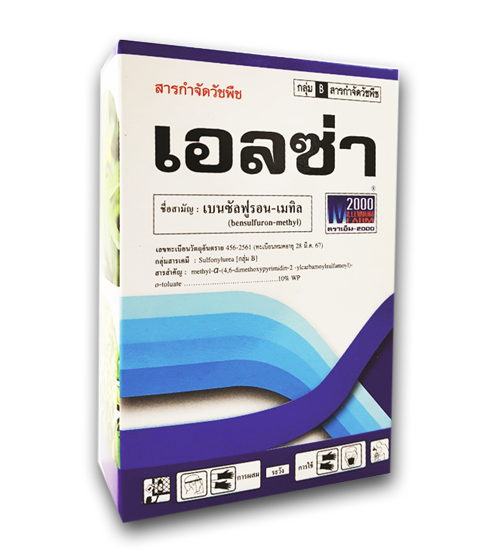เอลซ่า