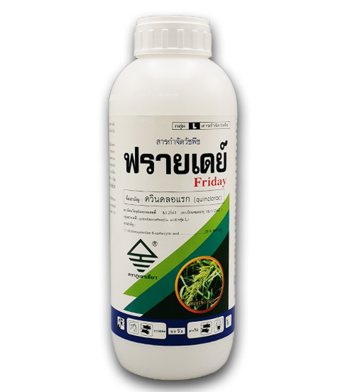 ฟรายเดย์