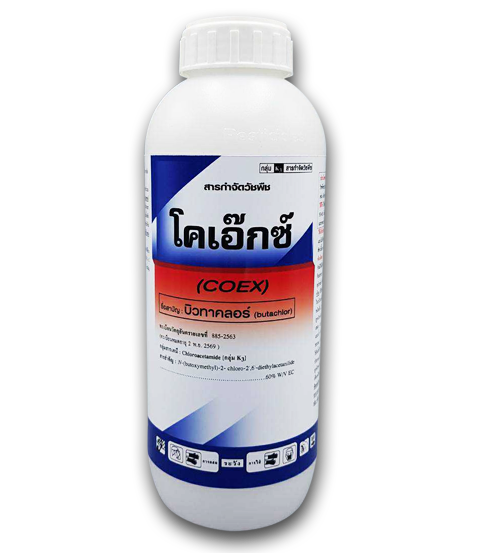 โคเอ๊กซ์