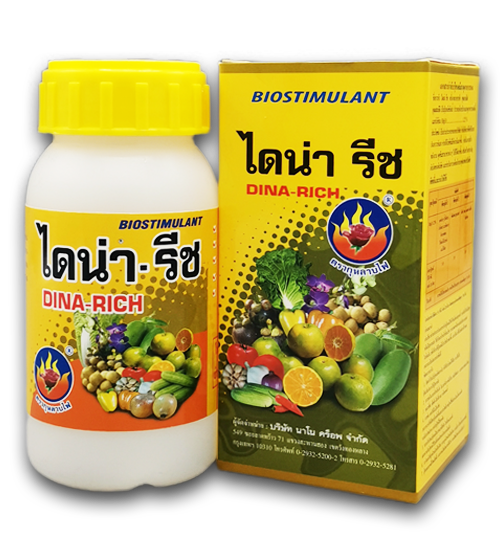 ไดน่า รีช