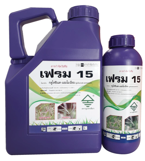 เฟรม 15