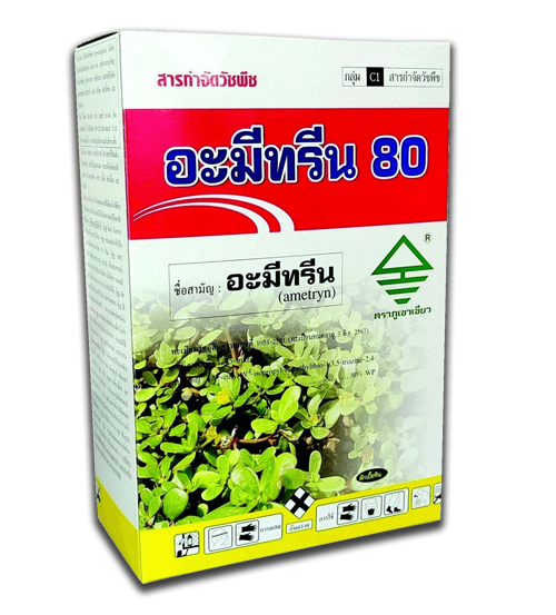 อะมีทรีน 80