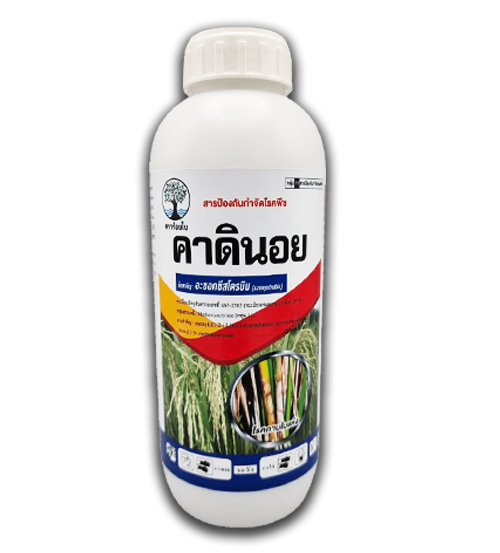 คาดินอย