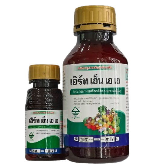 เอิร์ท เอ็น เอ เอ