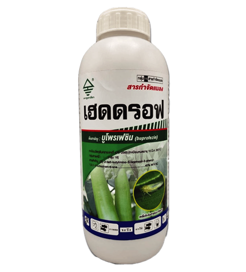 เฮดดรอฟ