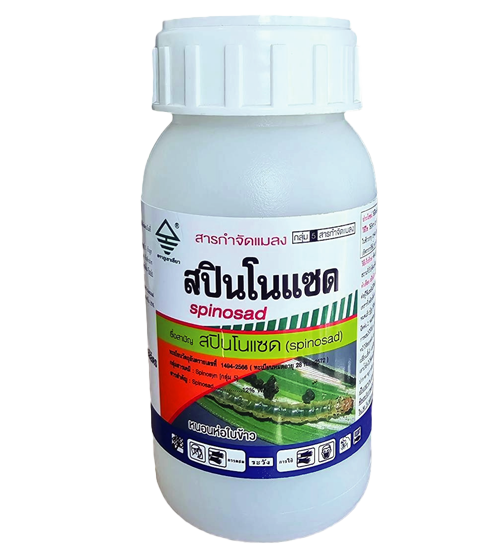 สปินโนแซต