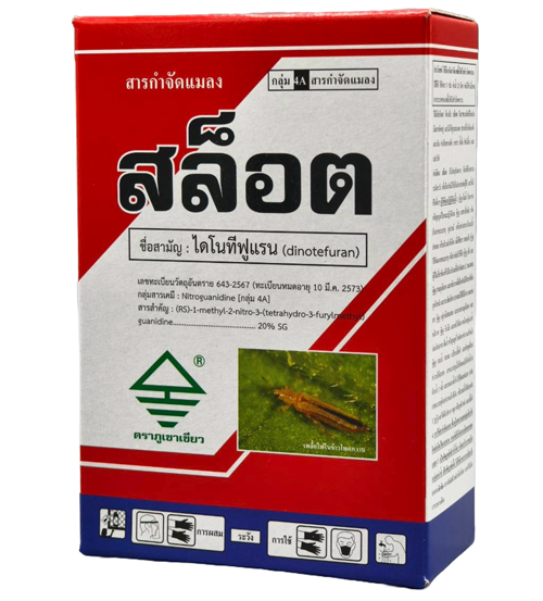 สล็อต